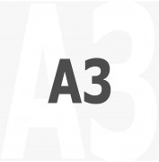 A3