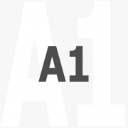 A1