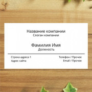 Визитка двухсторонняя горизонтальная (100 шт)
